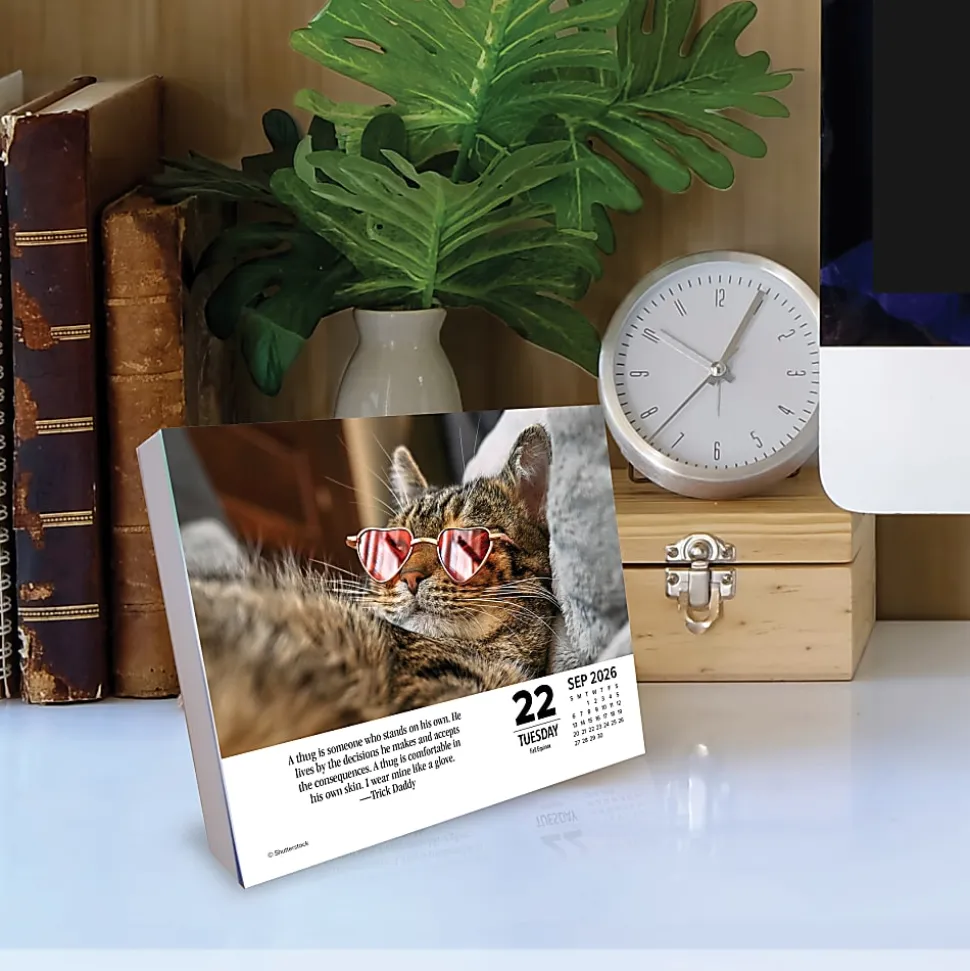 2026 Willow Creek Press Page-A-Day Daily Desk Calendar, 6-1/4" x 5-1/2", Bad Kitties, January To December, 53959