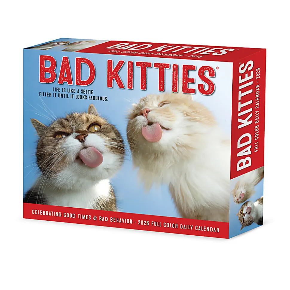 2026 Willow Creek Press Page-A-Day Daily Desk Calendar, 6-1/4" x 5-1/2", Bad Kitties, January To December, 53959