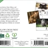 2026 Willow Creek Press Page-A-Day Daily Desk Calendar, 6-1/4" x 5-1/2", Cats, January To December, 54048