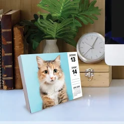 2026 Willow Creek Press Page-A-Day Daily Desk Calendar, 6-1/4