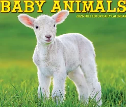 2026 Willow Creek Press Page-A-Day Daily Desk Calendar, 6-1/4" x 5-1/2", Baby Animals, January To December, 53928