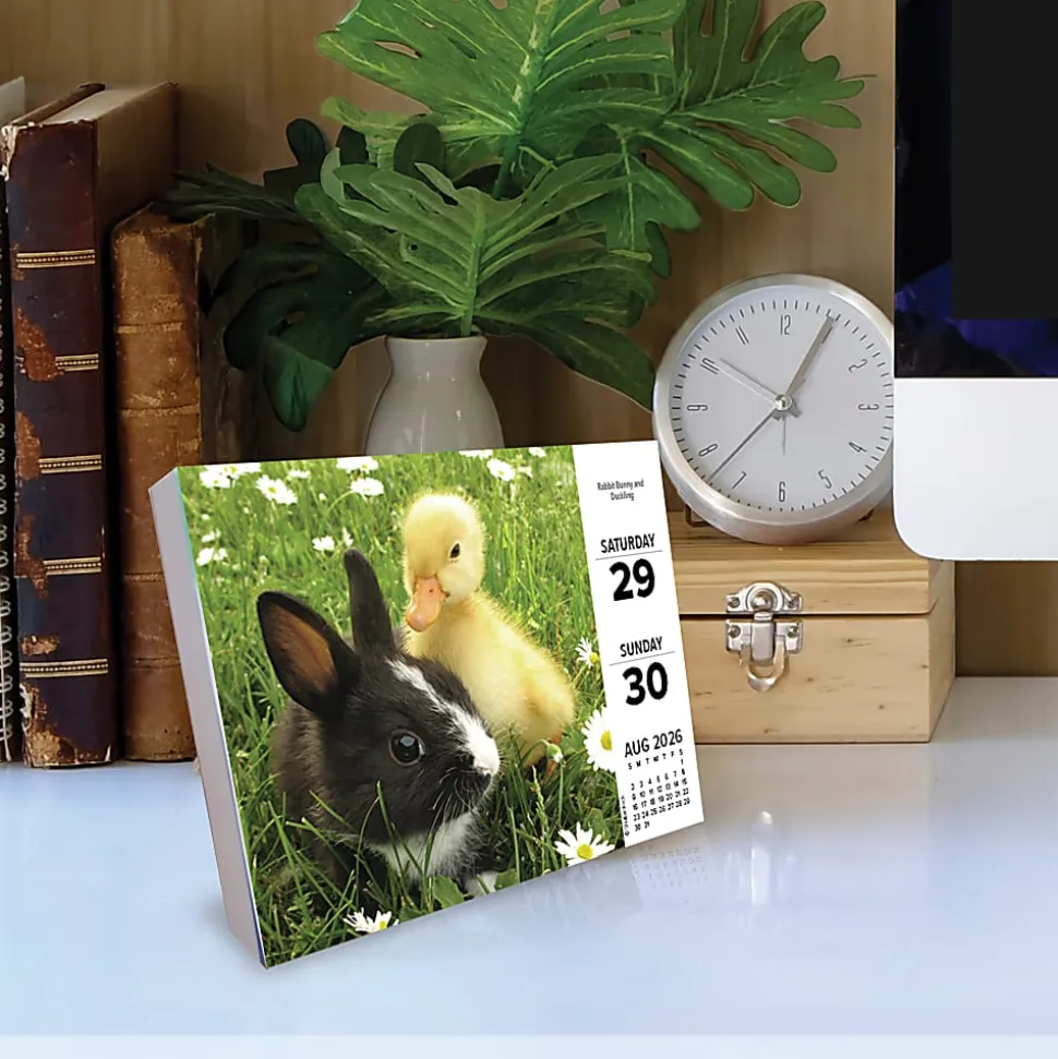 2026 Willow Creek Press Page-A-Day Daily Desk Calendar, 6-1/4" x 5-1/2", Baby Animals, January To December, 53928