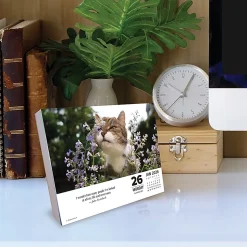 2026 Willow Creek Press Page-A-Day Daily Desk Calendar, 6-1/4