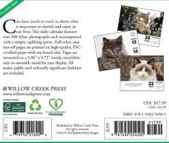 2026 Willow Creek Press Page-A-Day Daily Desk Calendar, 6-1/4