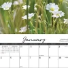 2026 Willow Creek Press Scenic Monthly Wall Calendar, 12" x 12", America's Backroads, January To December, 49808