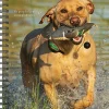 2026 Willow Creek Press Weekly Engagement Calendar, 6-1/2" x 8-1/2", What Labs Teach Us, January To December, 55267