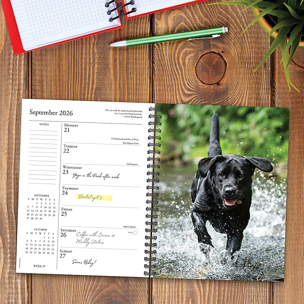 2026 Willow Creek Press Weekly Engagement Calendar, 6-1/2" x 8-1/2", What Labs Teach Us, January To December, 55267