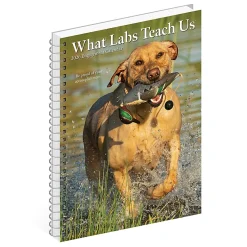 2026 Willow Creek Press Weekly Engagement Calendar, 6-1/2