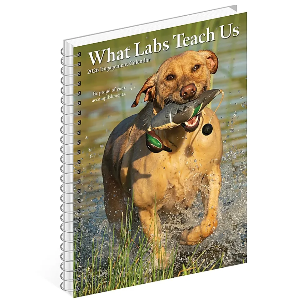 2026 Willow Creek Press Weekly Engagement Calendar, 6-1/2" x 8-1/2", What Labs Teach Us, January To December, 55267