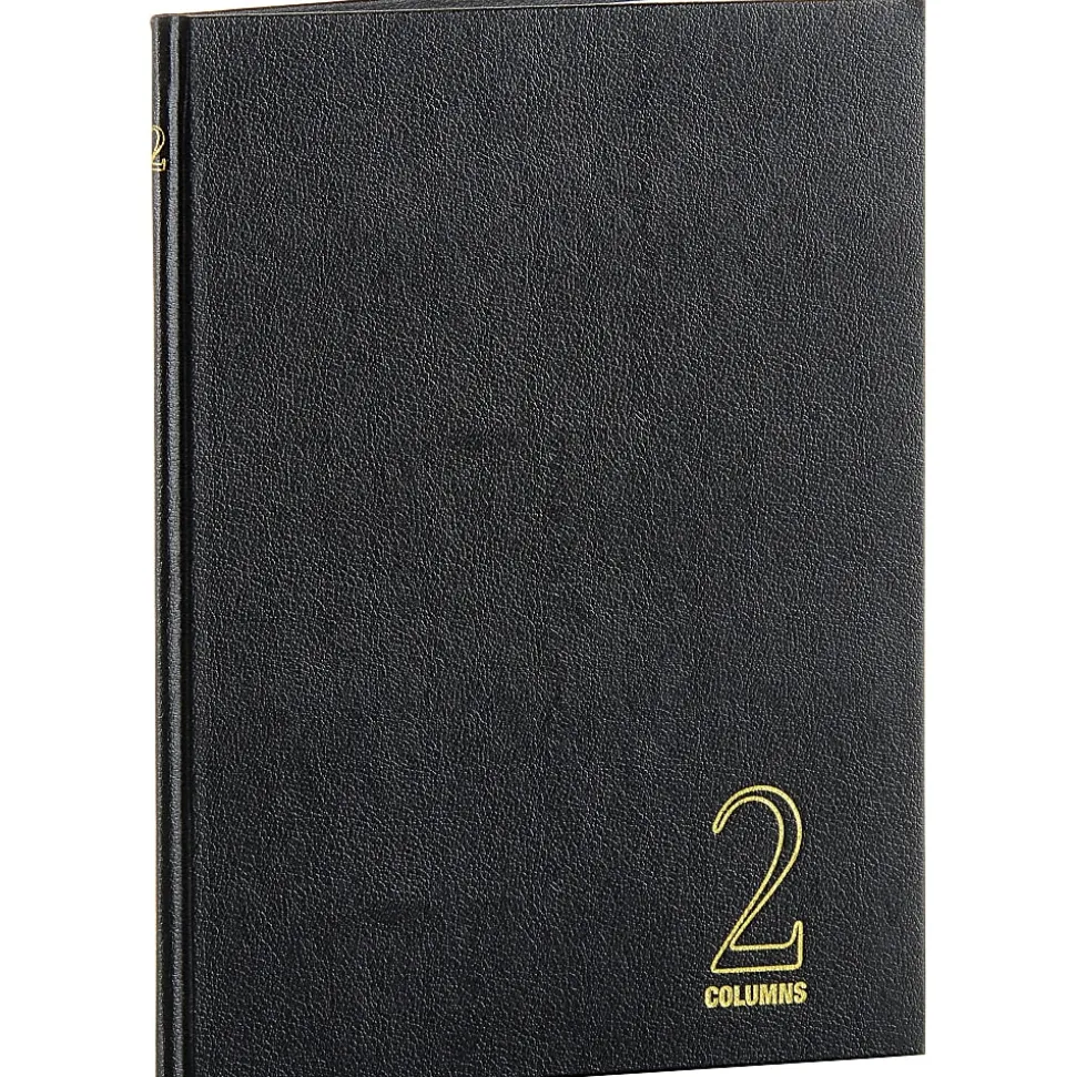 Wilson Jones® Single Page Columnar Book, 9 1/4" x 7", 2 Columns, 40 Sheets