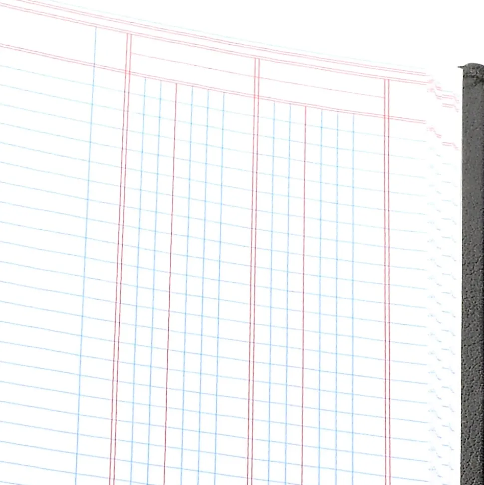 Wilson Jones® Single Page Columnar Book, 9 1/4" x 7", 2 Columns, 40 Sheets