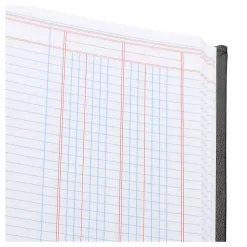 Wilson Jones® Single Page Columnar Book, 9 1/4