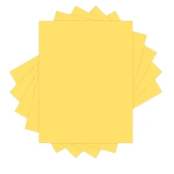 Xerox® Vitality Colors®20 Multipurpose Pastel Printer Paper, 1 Ream, 300 Sheets Per Ream, Goldenrod, Letter Size, 20lb.