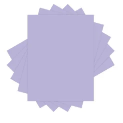 Xerox® Vitality Colors™ Pastel Multi-Use Printer & Copy Paper, 10 Reams, Lilac, Letter (8.5" x 11"), 5000 Sheets Per Case, 20 Lb, 30% Recycled